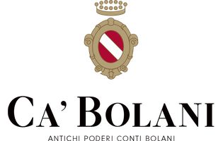 Ca' Bolani